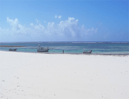 Diani Beach Strandpanorama Webcam Live