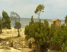 Kite School Buen Hombre Webcam Live