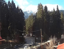 Elati Trikala Webcam Live