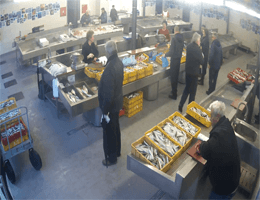 Dubrovnik Fish Market Webcam Live