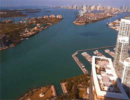 Miami Government Cut Webcam Live
