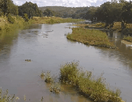 Limpopo Olifants River Webcam Live