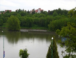 Świdnica Zalew Witoszówka Webcam Live
