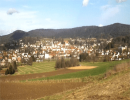 Waldmünchen Panorama Webcam Live