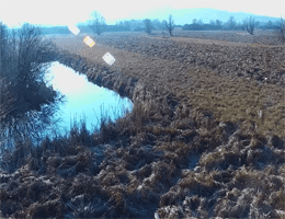 Brezice Jovsi Nature Park Webcam Live