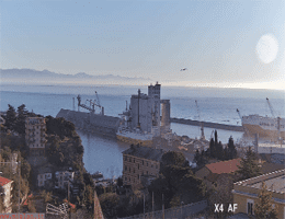 savona cruise port webcam