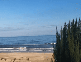 Dunas do Sul Webcam Live